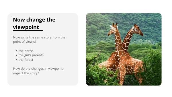 Viewpoints and Perspectives in Stories Education Presentation — slide 5