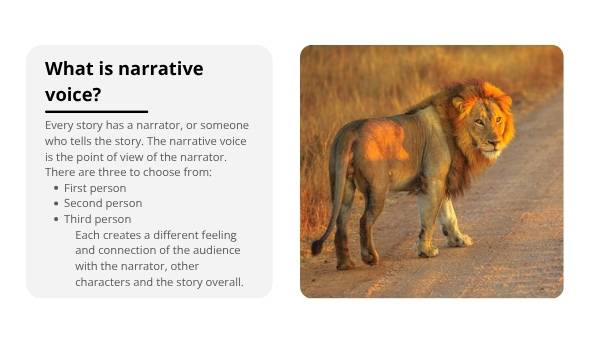 Viewpoints and Perspectives in Stories Education Presentation — slide 6
