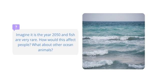 Sustainable Fishing Practices Education Presentation — slide 3