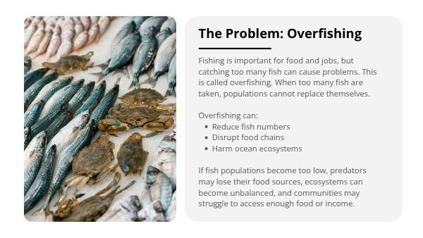 Sustainable Fishing Practices Education Presentation — slide 4