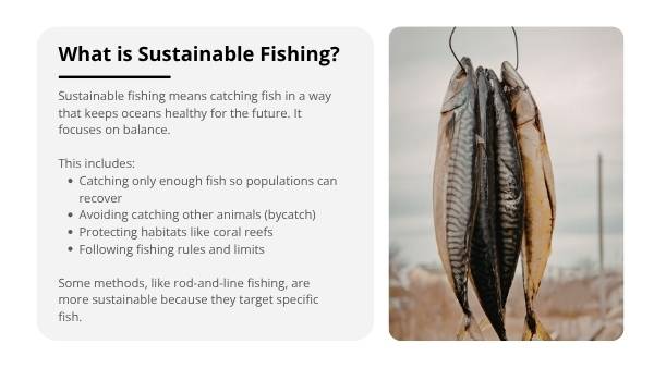 Sustainable Fishing Practices Education Presentation — slide 5