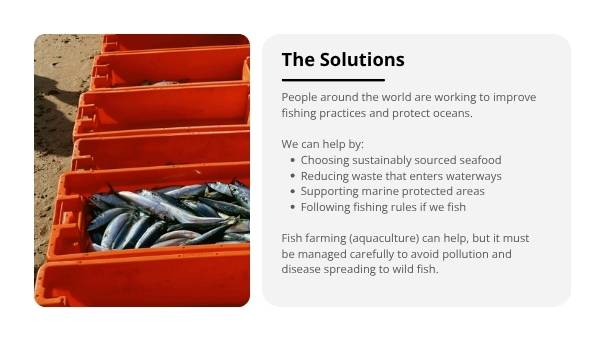 Sustainable Fishing Practices Education Presentation — slide 6