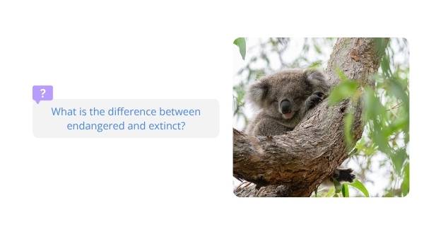 Endangered or Extinct Language Education Presentation — slide 4