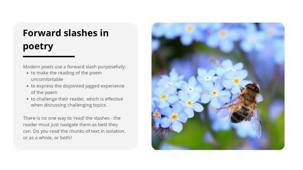Poetry and Empathy Education Presentation — slide 8