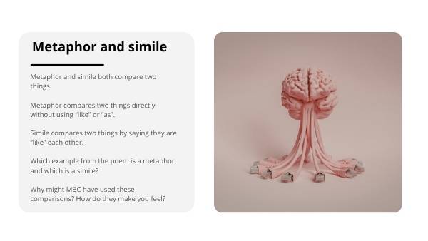 Poetry and Empathy Education Presentation — slide 11