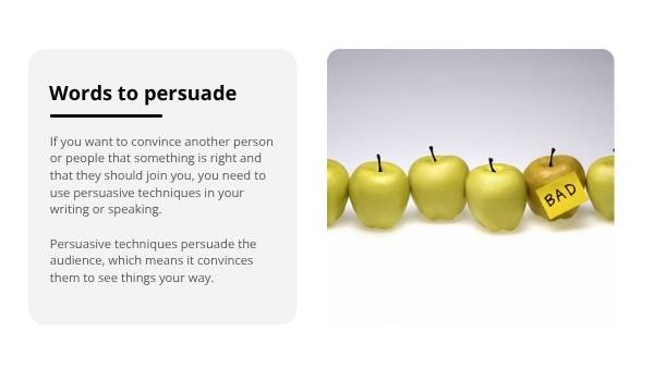 How Are We Persuaded by Stereotypes? Education Presentation — slide 6