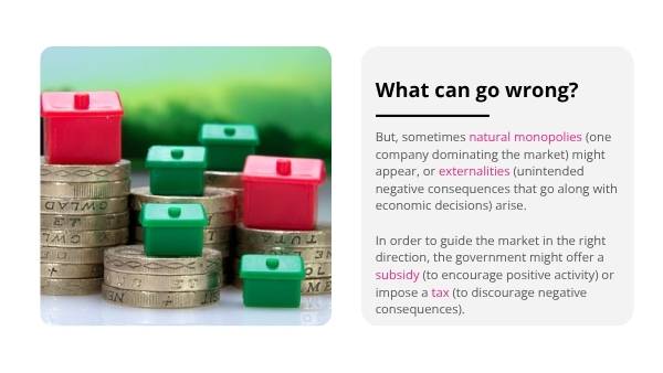The Government’s Role in the Economy Education Presentation — slide 12