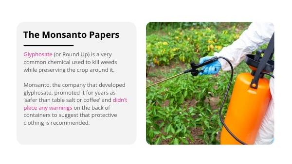 The Circular Economy and Food Production Education Presentation — slide 10