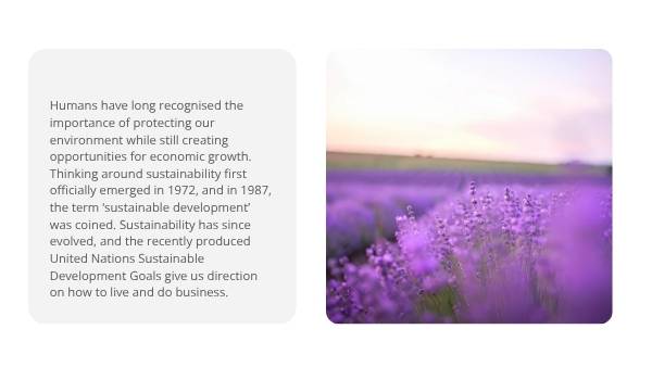 The Environmental Cost of Doing Business Education Presentation — slide 7