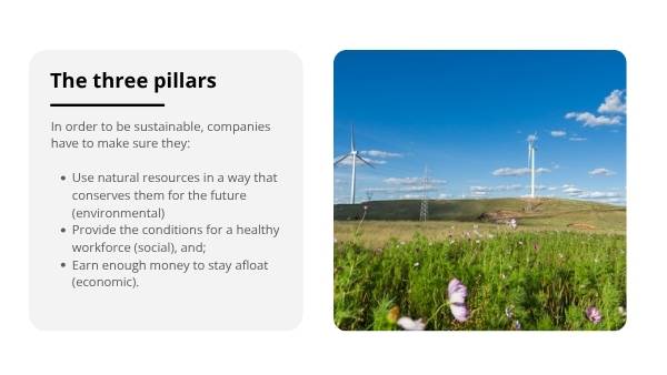 The Environmental Cost of Doing Business Education Presentation — slide 8