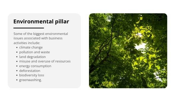 The Environmental Cost of Doing Business Education Presentation — slide 9