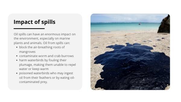 The Environmental Cost of Doing Business Education Presentation — slide 11