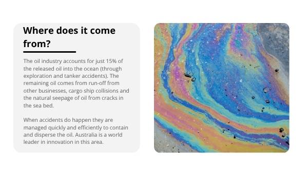 The Environmental Cost of Doing Business Education Presentation — slide 12