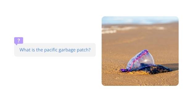 The Great Pacific Garbage Patch Educational Presentation — slide 3