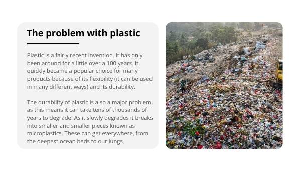 The Cost of Plastic Waste Education Presentation — slide 8