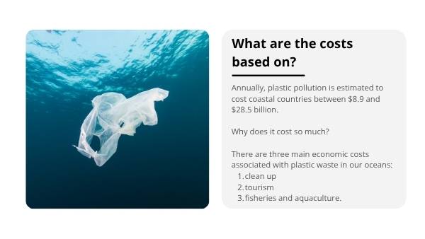 The Cost of Plastic Waste Education Presentation — slide 10