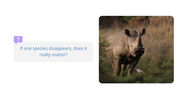 Biodiversity and Human Impact Education Presentation — slide 3