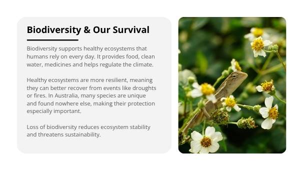Biodiversity and Human Impact Education Presentation — slide 5