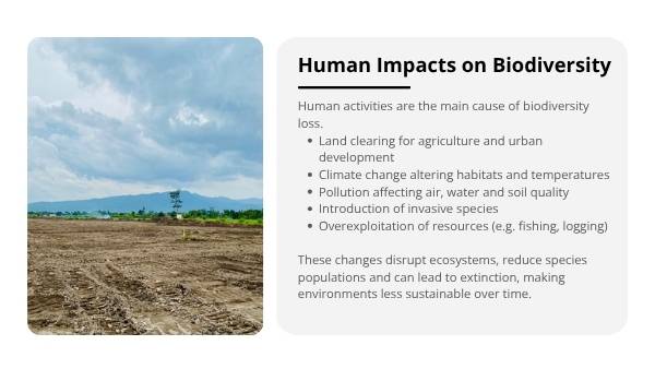 Biodiversity and Human Impact Education Presentation — slide 6