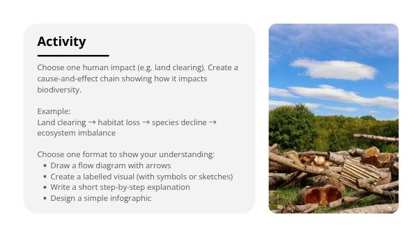 Biodiversity and Human Impact Education Presentation — slide 7