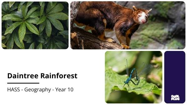 Daintree Rainforest Education Presentation — slide 1