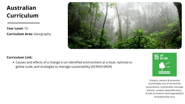 Daintree Rainforest Education Presentation — slide 2