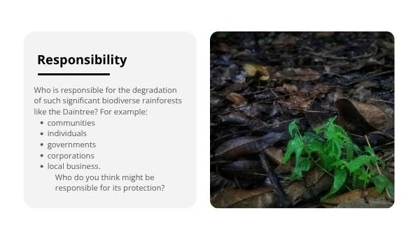 Daintree Rainforest Education Presentation — slide 5
