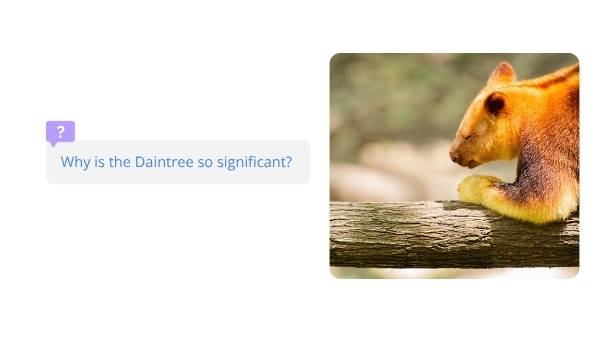 Daintree Rainforest Education Presentation — slide 7