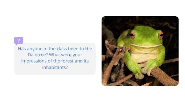 Daintree Rainforest Education Presentation — slide 11