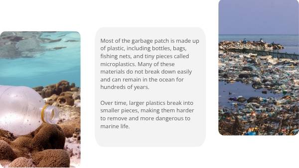 The Great Pacific Garbage Patch Education Presentation — slide 5