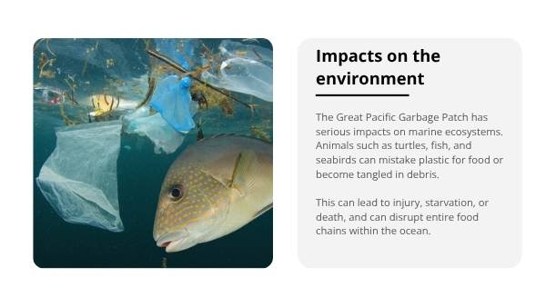 The Great Pacific Garbage Patch Education Presentation — slide 7