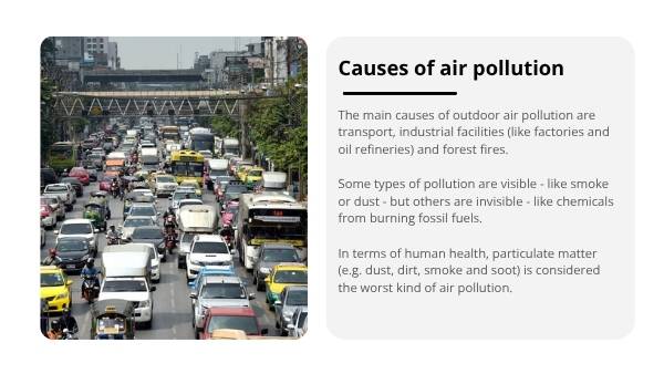 The Impacts of Air Pollution Education Presentation — slide 9