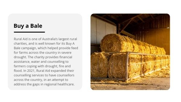 Challenges of Rural Living Education Presentation — slide 10