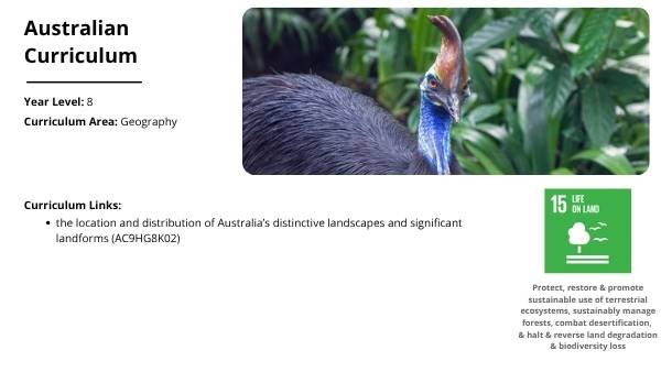 Australia's Rainforests Education Presentation — slide 2