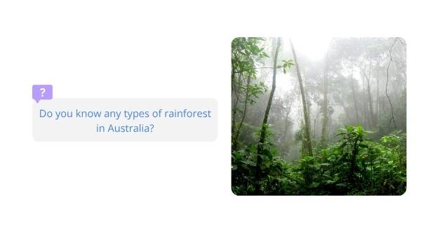Australia's Rainforests Education Presentation — slide 3