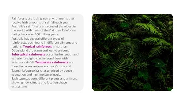 Australia's Rainforests Education Presentation — slide 4
