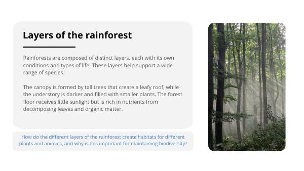 Australia's Rainforests Education Presentation — slide 6
