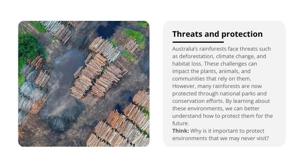 Australia's Rainforests Education Presentation — slide 8