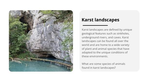 Landscapes and Landforms Education Presentation — slide 9