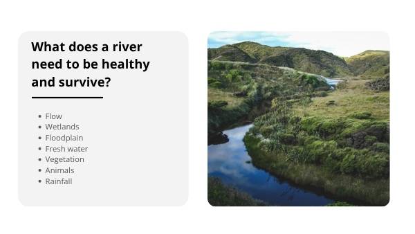 Management of Water Resources Education Presentation — slide 3