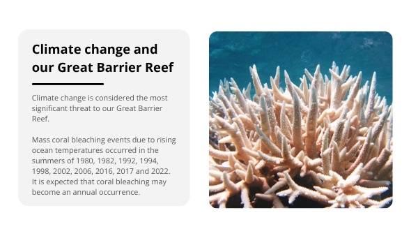 Great Barrier Reef : Challenges and Solutions Education Presentations — slide 4