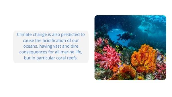 Great Barrier Reef : Challenges and Solutions Education Presentations — slide 6