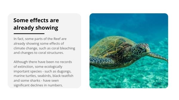 Great Barrier Reef : Challenges and Solutions Education Presentations — slide 7
