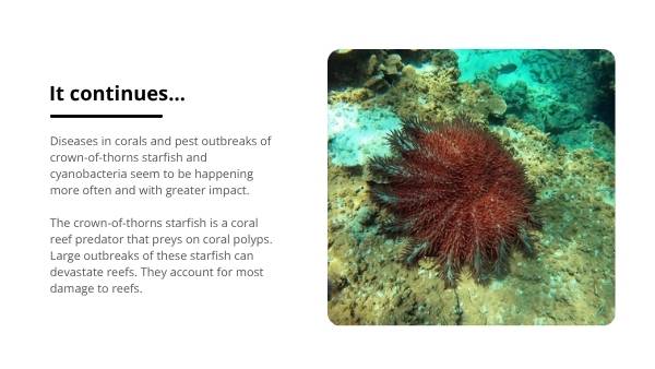 Great Barrier Reef : Challenges and Solutions Education Presentations — slide 8
