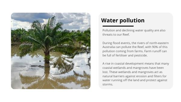 Great Barrier Reef : Challenges and Solutions Education Presentations — slide 9