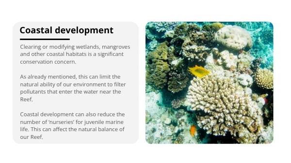 Great Barrier Reef : Challenges and Solutions Education Presentations — slide 10