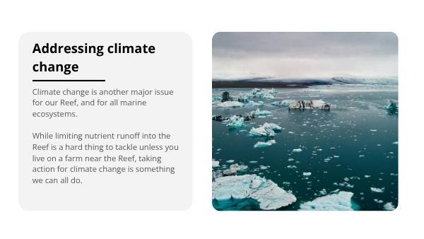 Great Barrier Reef : Challenges and Solutions Education Presentations — slide 11