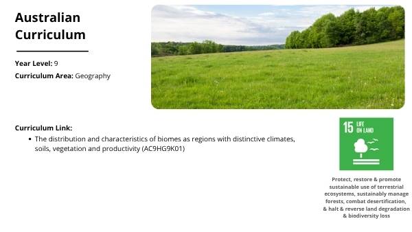 Effects of Deforestation Education Presentation — slide 2