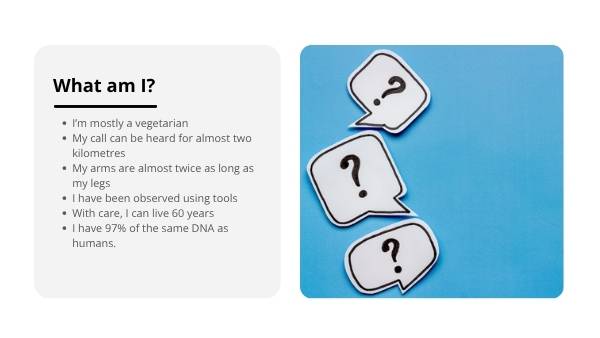 Effects of Deforestation Education Presentation — slide 4
