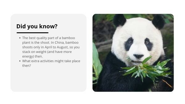 Effects of Deforestation Education Presentation — slide 7
